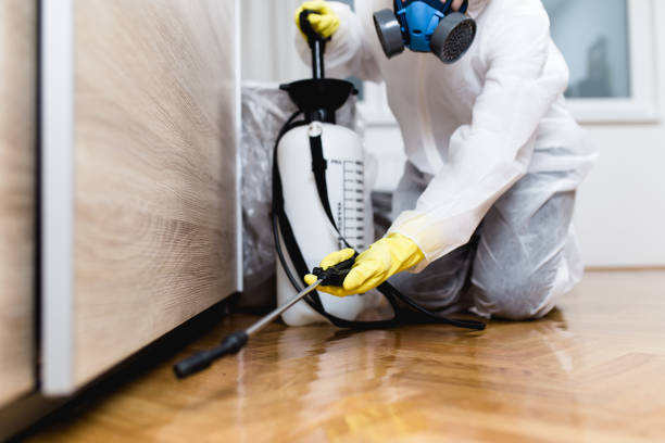 Best Affordable Pest Control Services  in Random Lake, WI