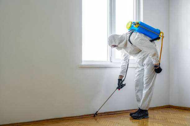Best Emergency Pest Control  in Random Lake, WI