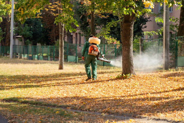 Best Affordable Pest Control Services  in Random Lake, WI