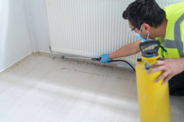 Best Residential Pest Control  in Random Lake, WI