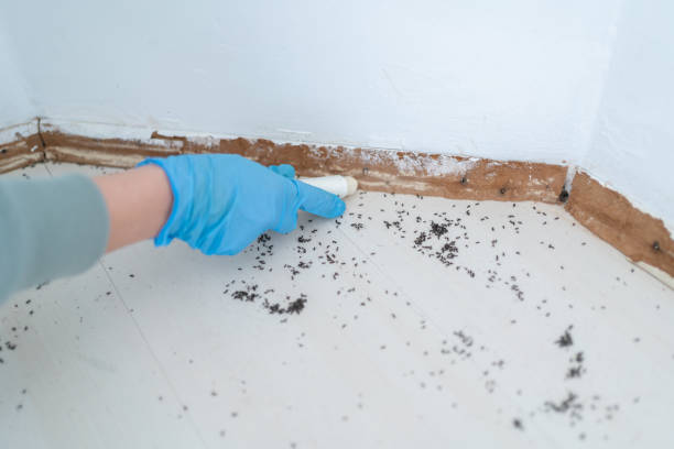 Best Exterminator Services  in Random Lake, WI